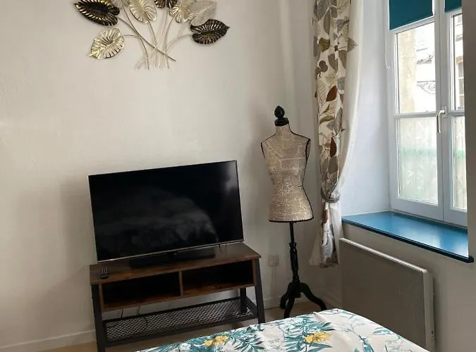 Cosy Confortable En Centre Verdun